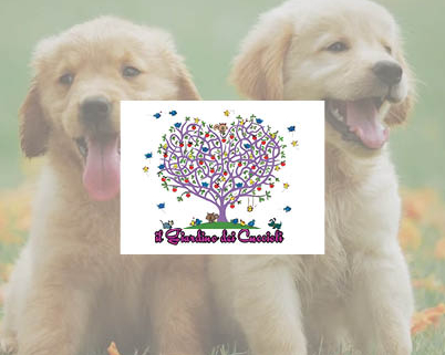 Card fisica e virtuale Il Giardino dei Cuccioli