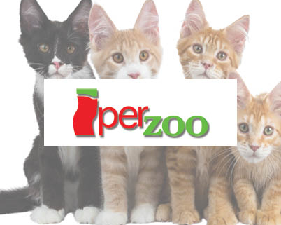 Card fisica e virtuale per i clienti di Iperzoo