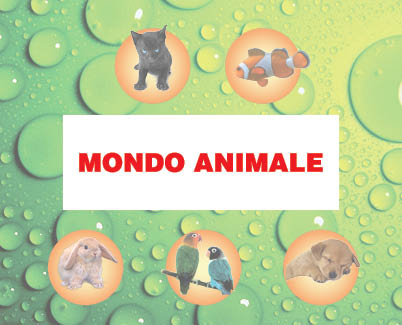 Tessera fedeltà Mondo Animale